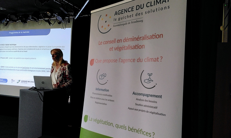 Atelier eau et biodiversité à destination des entreprises